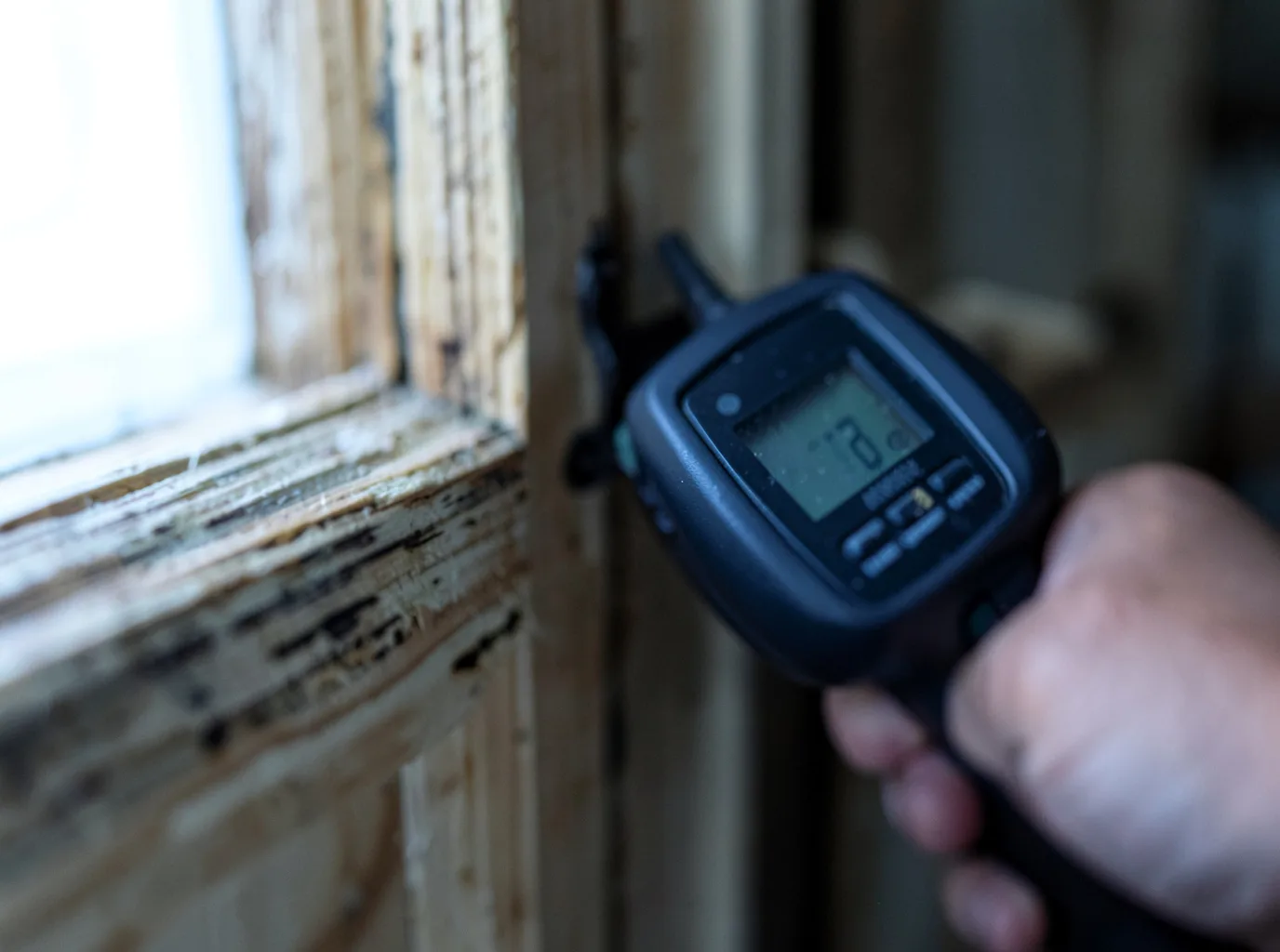 Moisture Inspection And Documentation in Orgas, WV